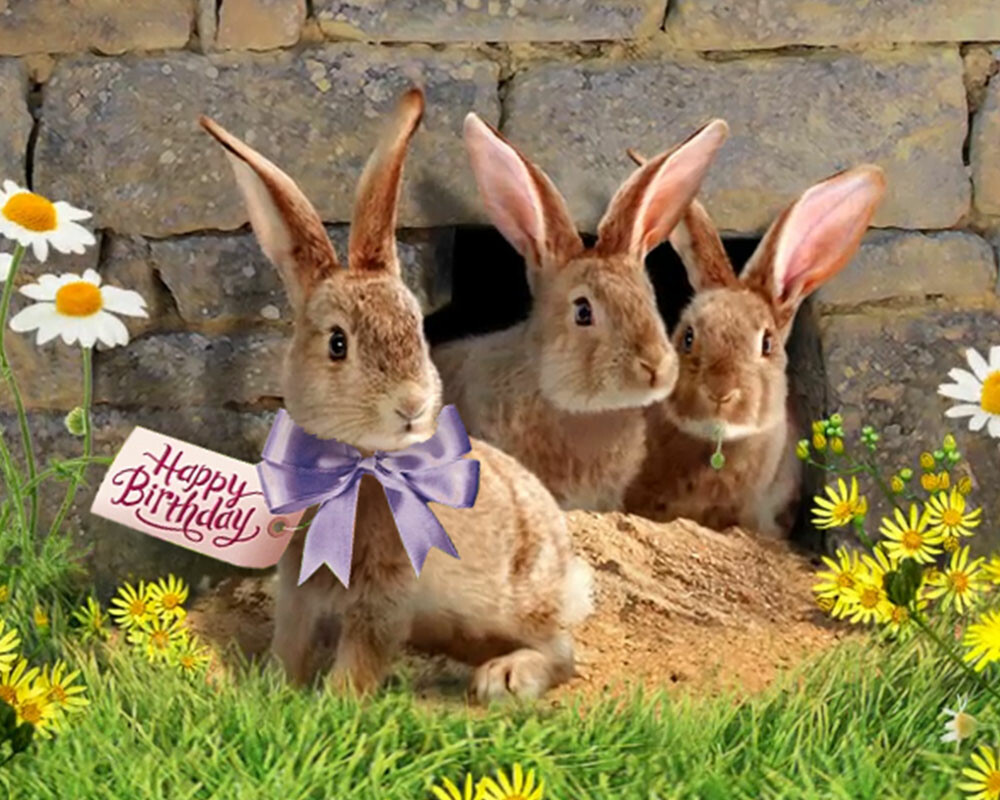 spring ecards