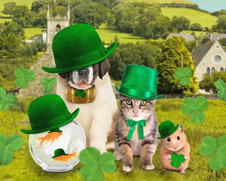 Everyone's Irish every March 17th!