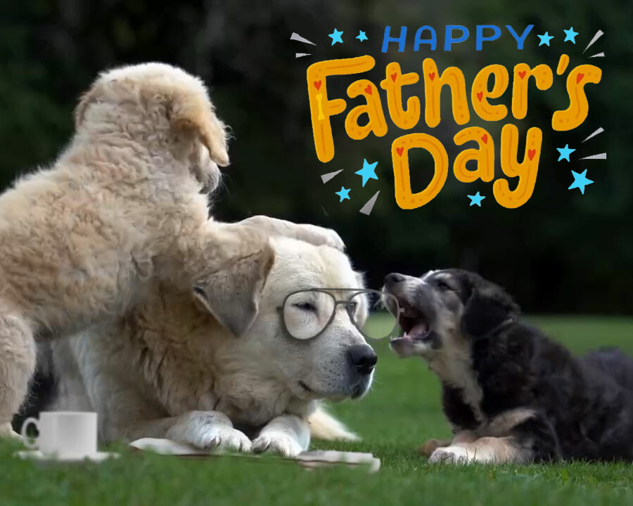 It's never too early to schedule your Father's Day wishes in advance!