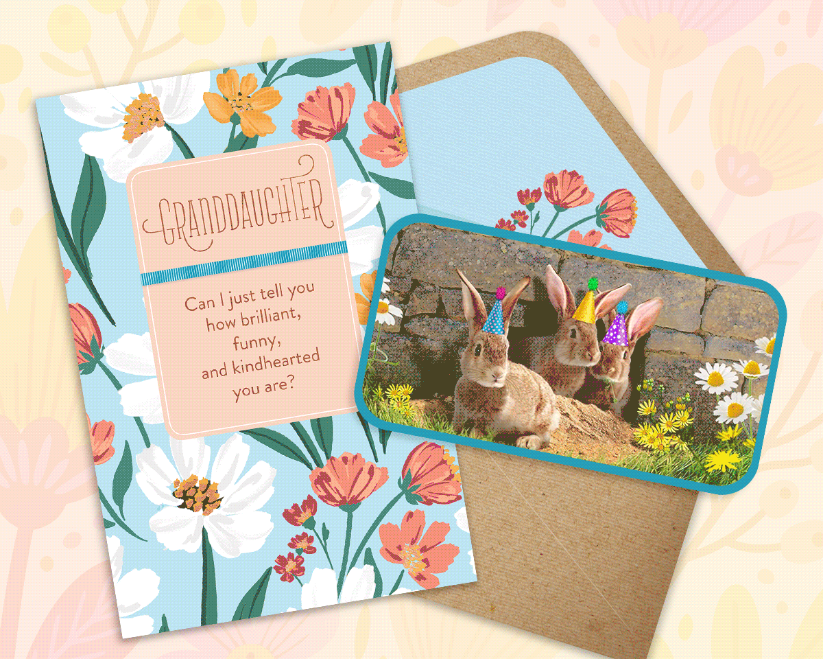 nm-birhtday-banner