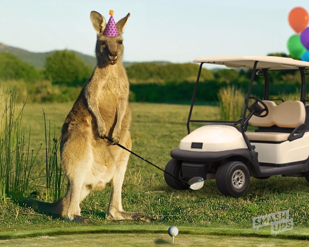 It's your Thing Golf Kangaroo Birthday SmashUp