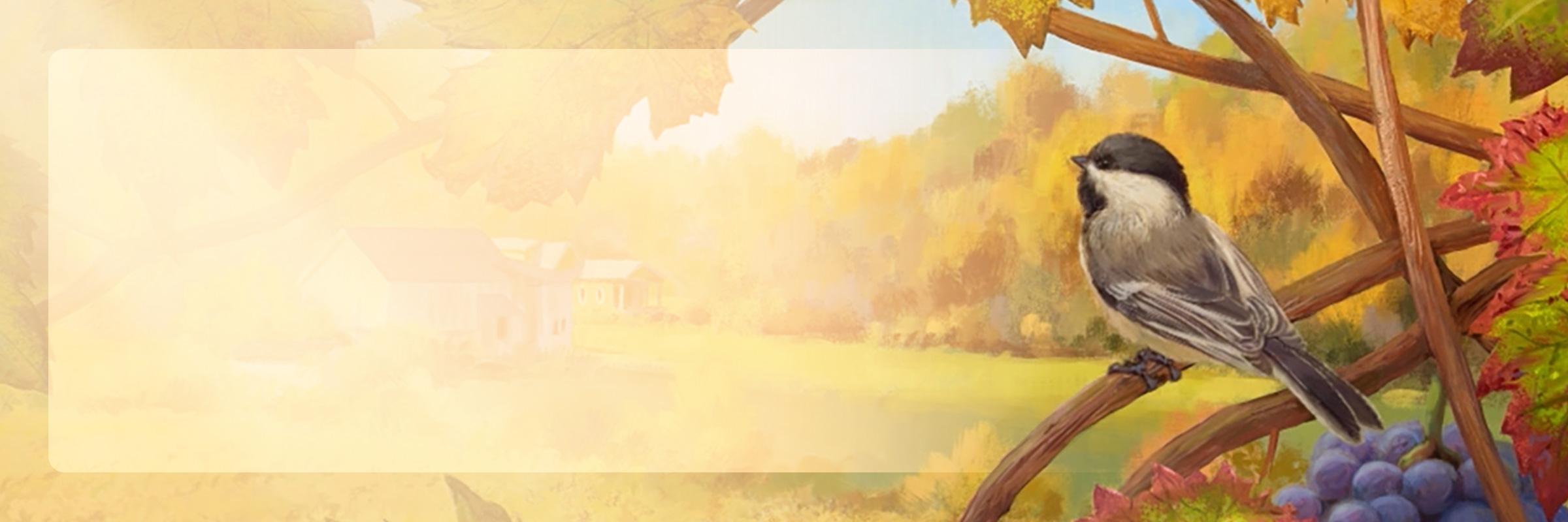 everyday-banner-so