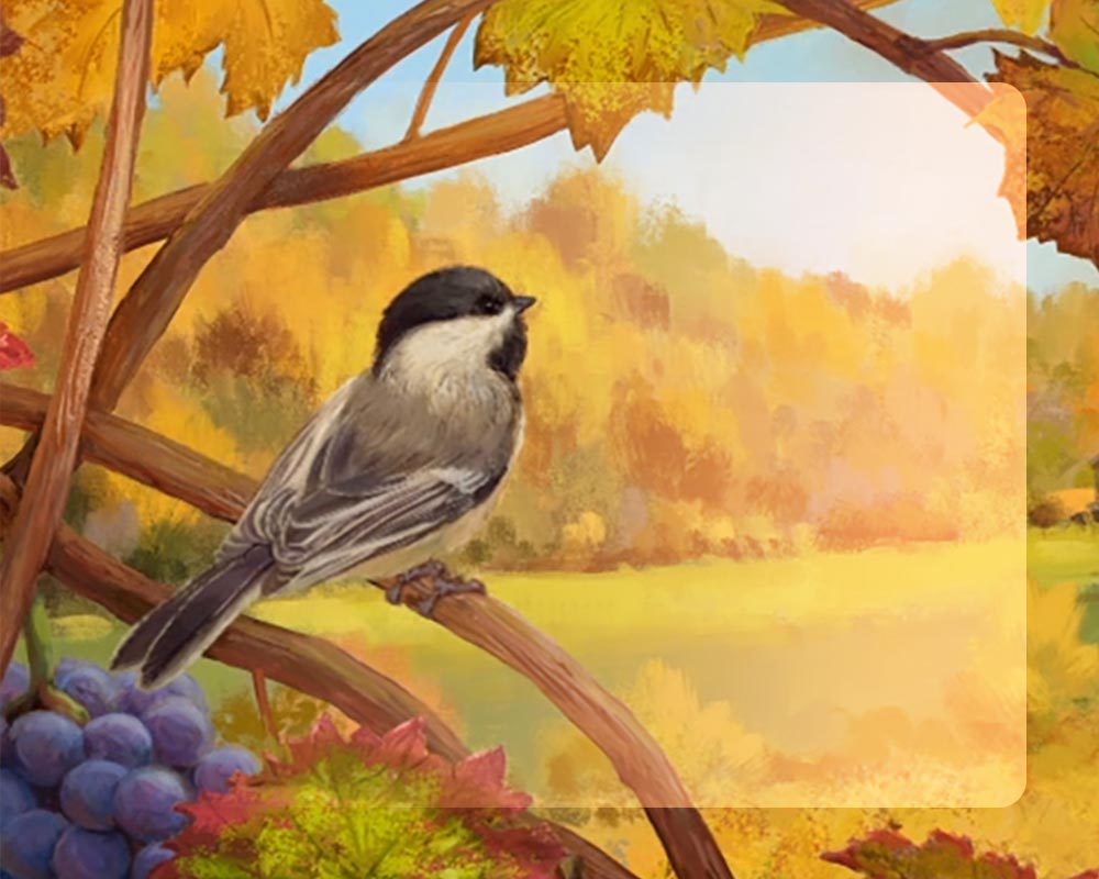 everyday-banner-so