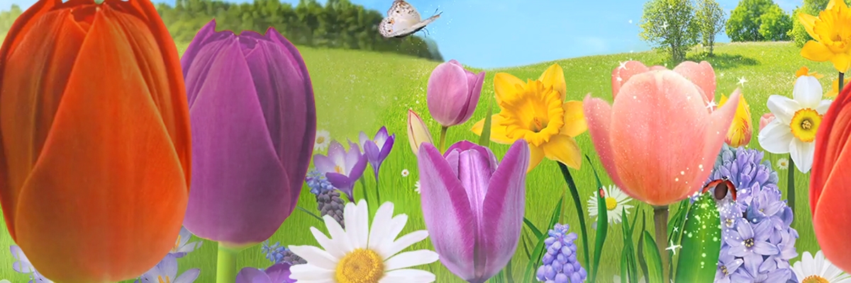 spring-si