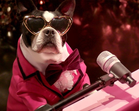 Romantic Valentine's Day Cards