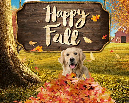 It's (almost) Fall Y'all!