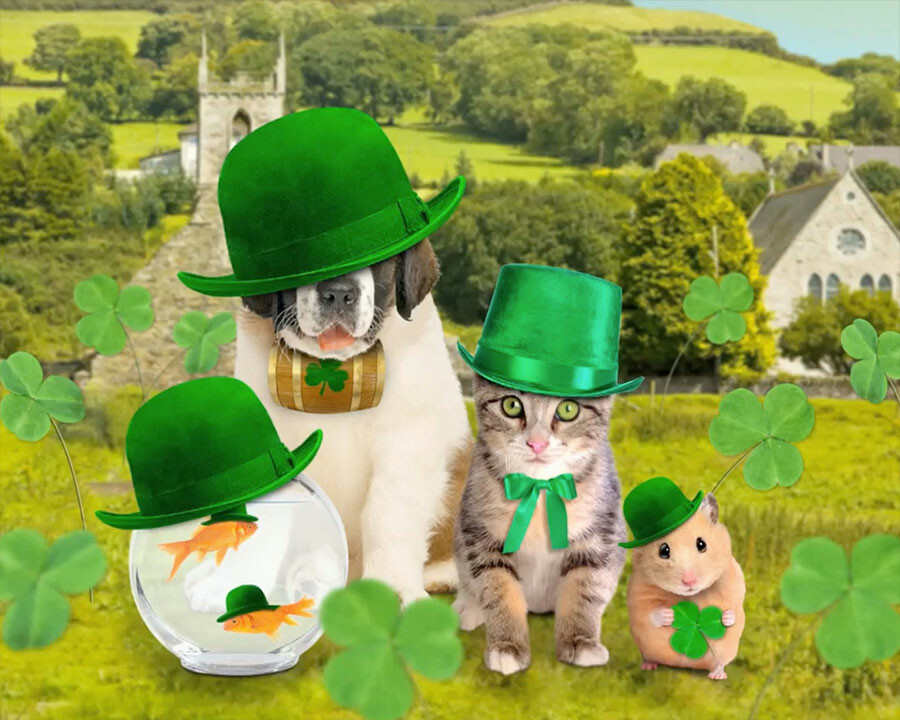 Everyone's Irish on March 17th! Send personalized wishes to all your favorite leprechauns. 