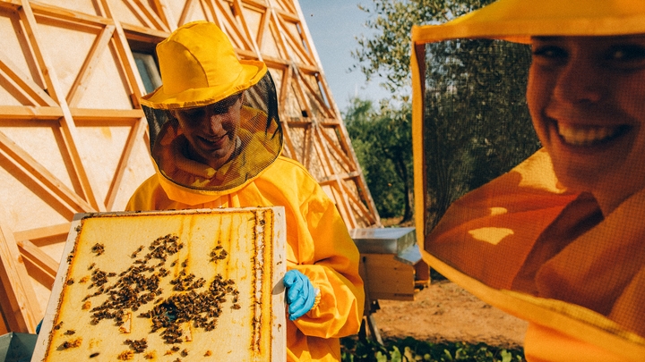 Divi saules apspīdēti un smaidīgi cilvēki spilgti oranžos biškopju tērpos stāv pie koka dēļa, uz kura spieto bites.