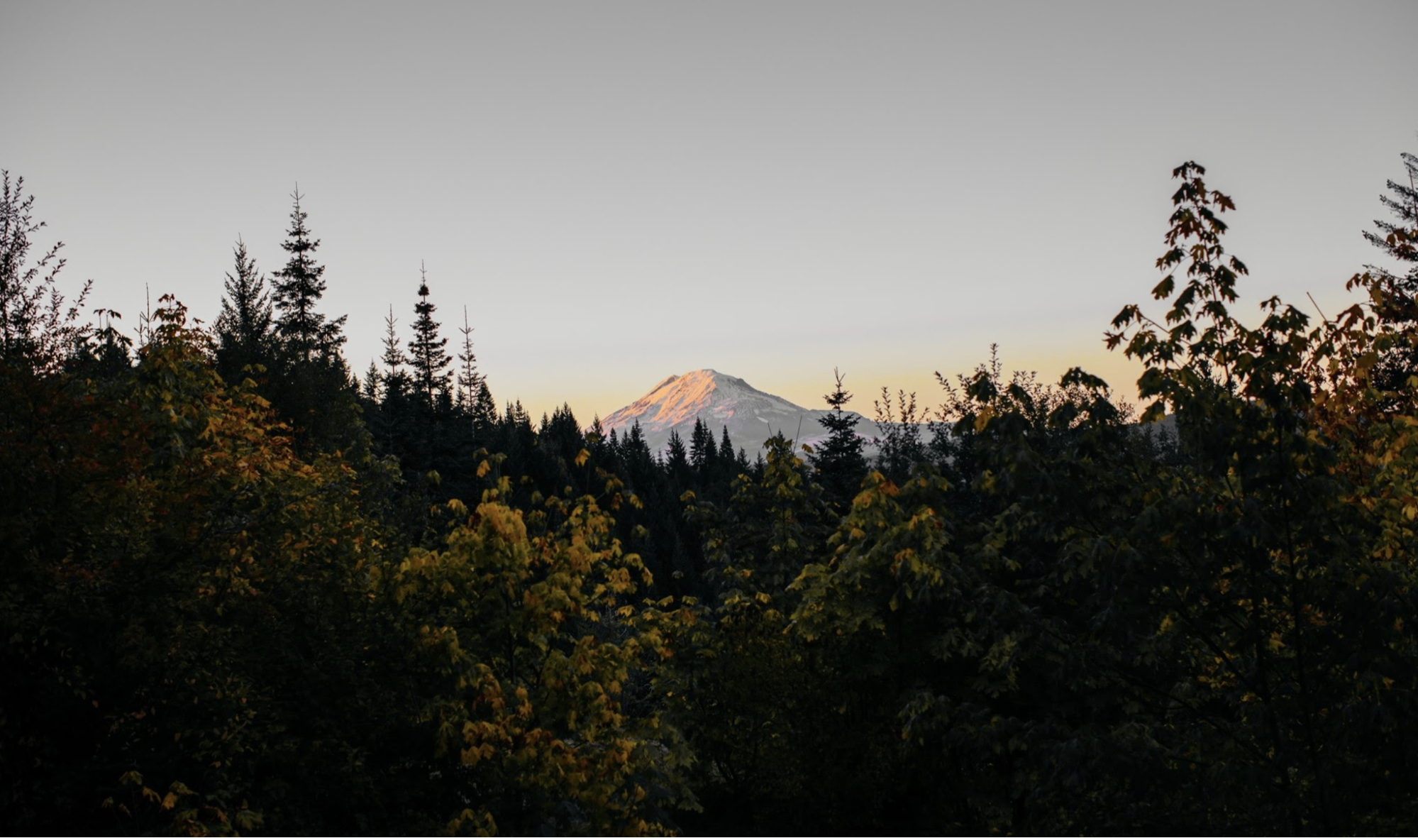 Wie Ein Paar Das Baumhaus Seiner Traume Schuf Info Center
