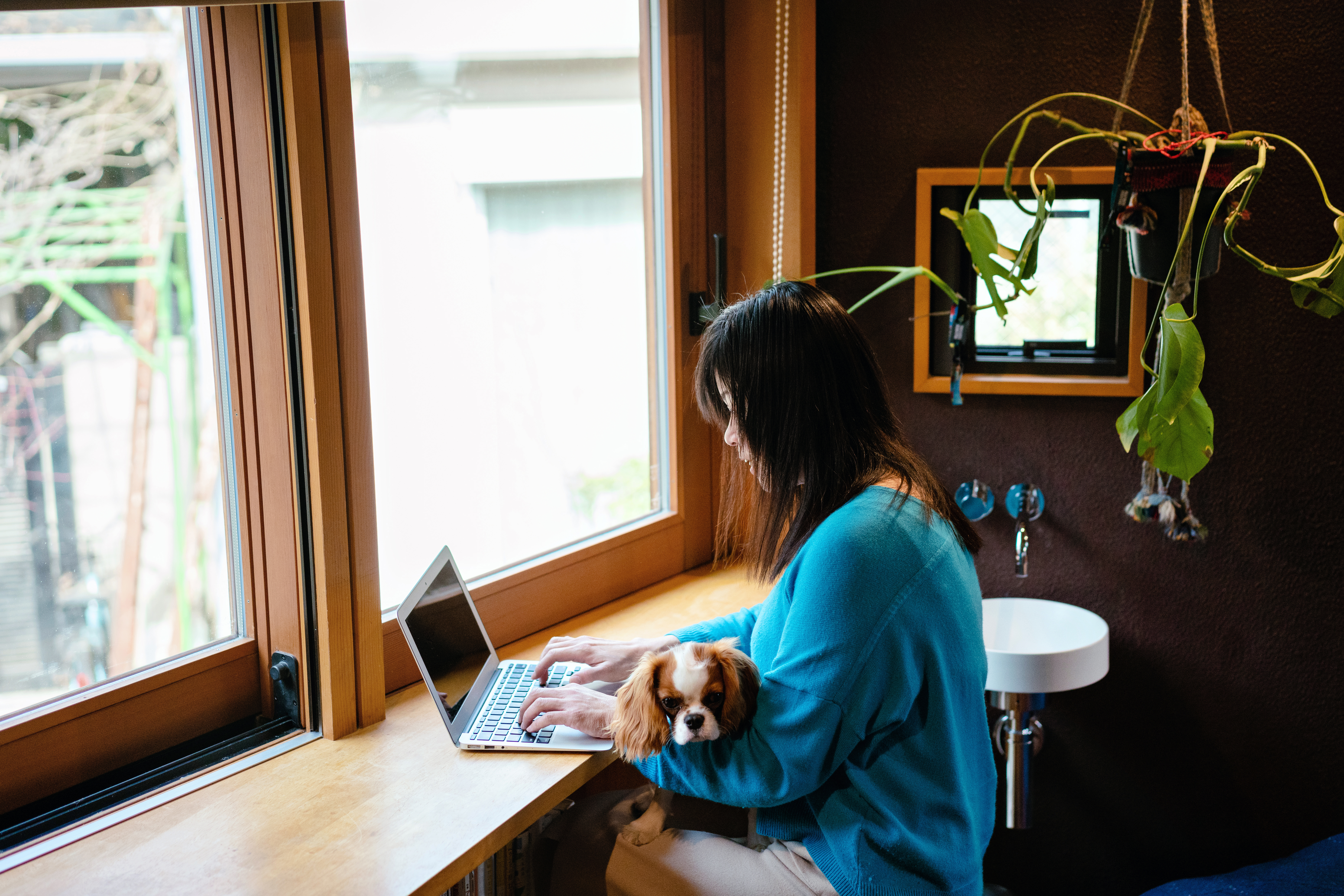 emotional support animal airbnb