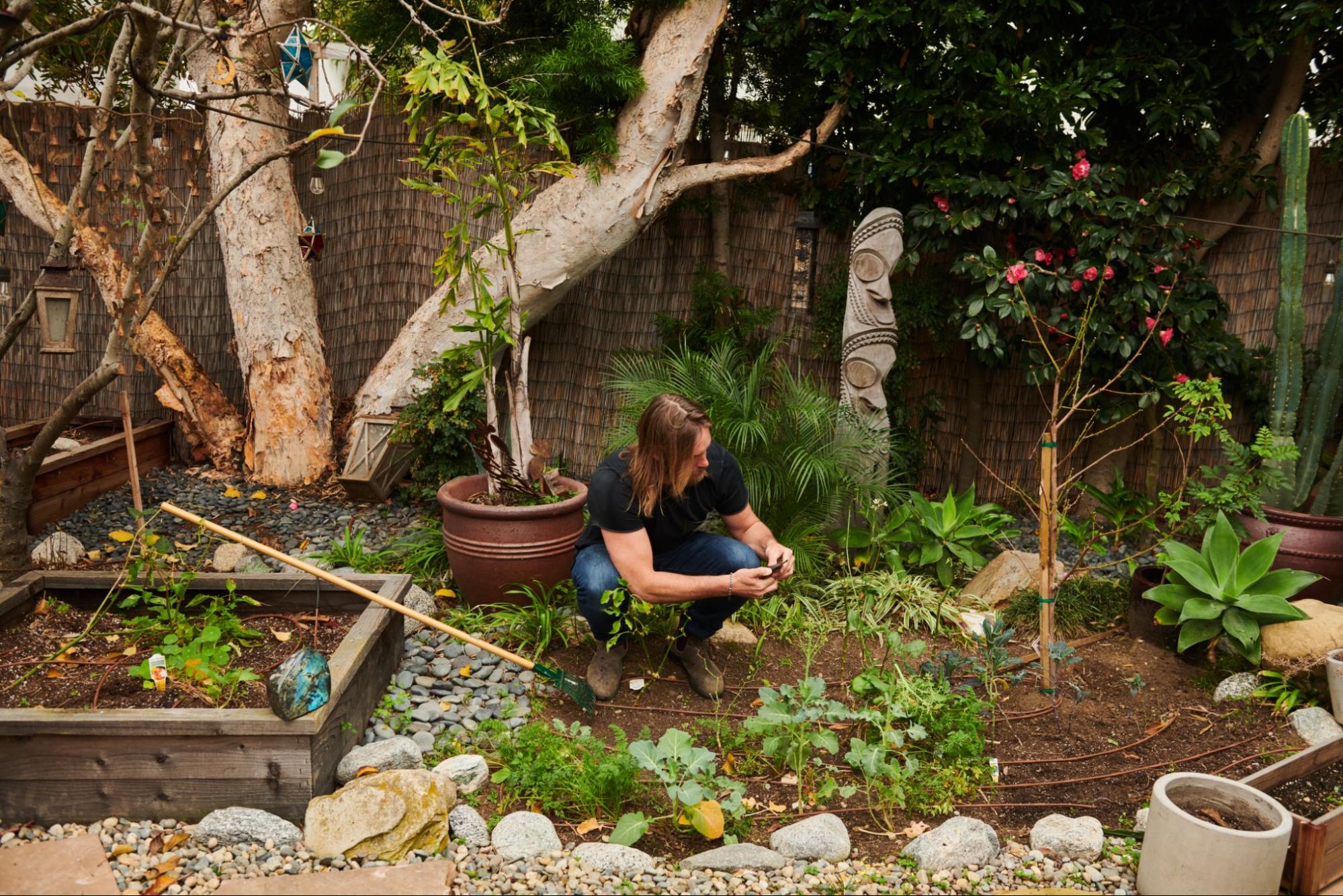 Un bărbat în blugi și tricou bleumarin lucrează într-o grădină din spatele casei.