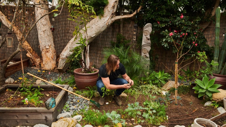 A man in jeans and a navy shirt works on a backyard garden.