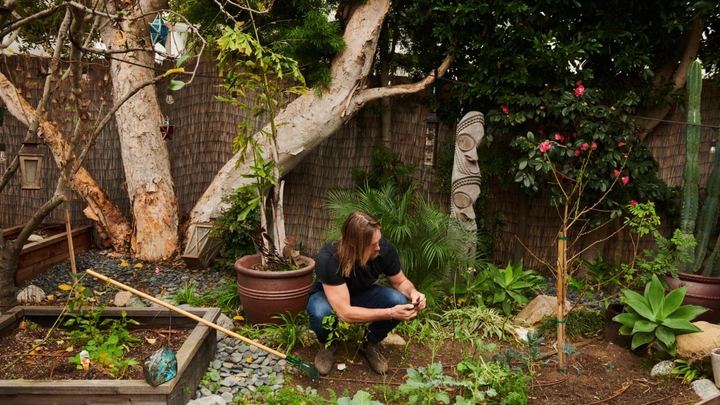 A man in jeans and a navy shirt works on a backyard garden.