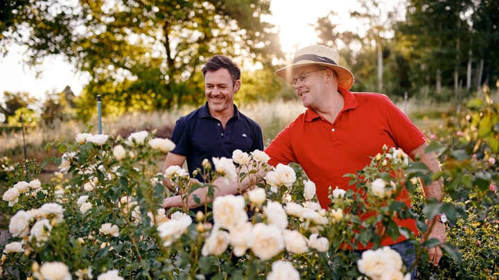 Two men in polo shirts are admiring white flowers in a sunny garden.