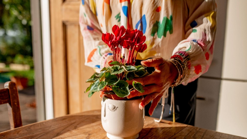 Una persona pone una planta con flores dentro de una maceta que tiene una cara sonriente y está apoyada sobre una mesa que recibe la luz del sol.