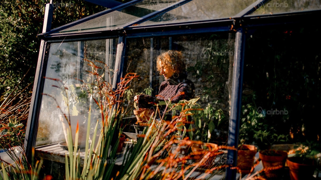 На застекленной террасе, залитой солнечным светом, стоит женщина в вязаном свитере с высокой горловиной и ухаживает за растением в горшке.