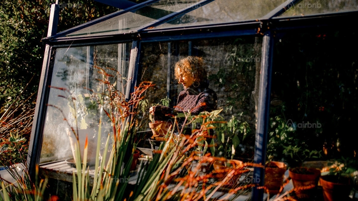 A person wearing a cable-knit turtleneck sweater tends to a potted plant in a sunroom that’s flooded with natural light.