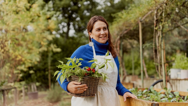 Kobieta w fartuchu ogrodniczym stoi w ogrodzie i trzyma kosz pełen roślin.