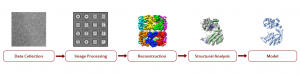 spc-relion-diagram-300x75.png