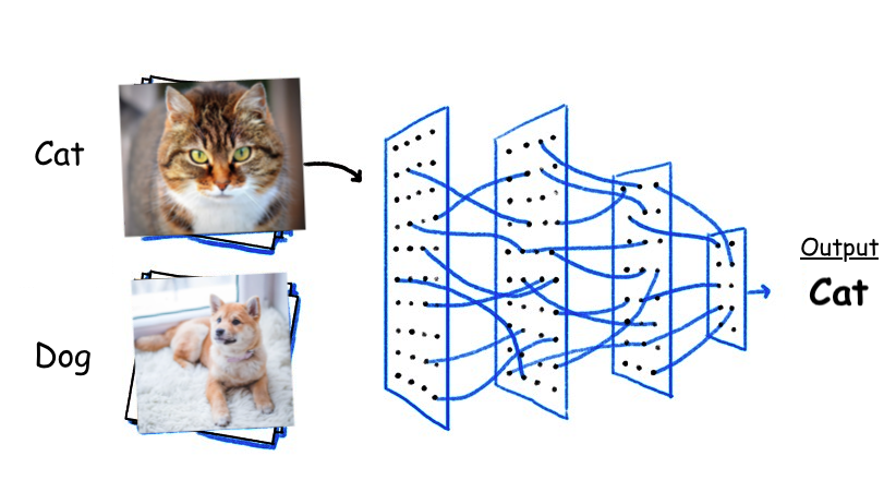 image classification of dogs and cats using pytorch lightning example