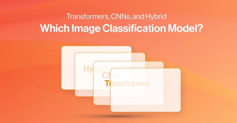 spc-blog-which-image-classification-model-transformers-cnns-and-hybrid.jpg
