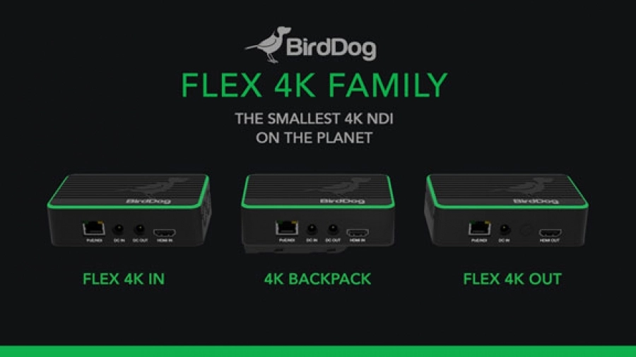 birddog-flex-4k.jpg