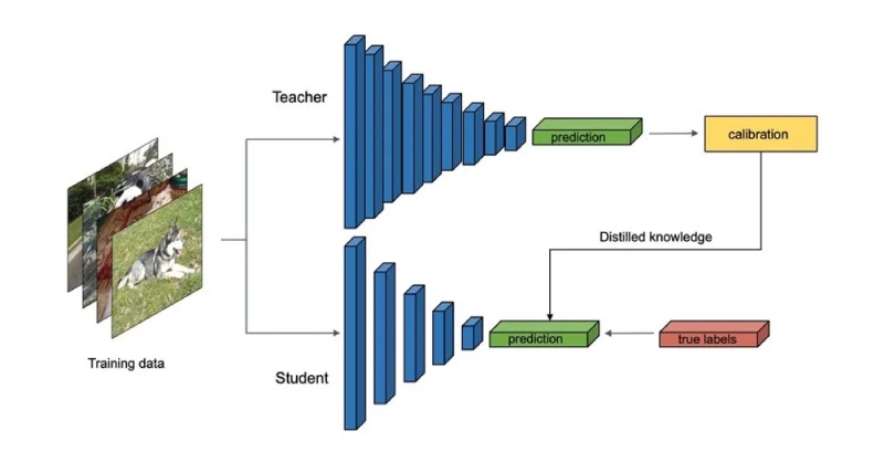 SPC-Blog-AI-Distillation-LLM-Traditional-Model-2.jpg
