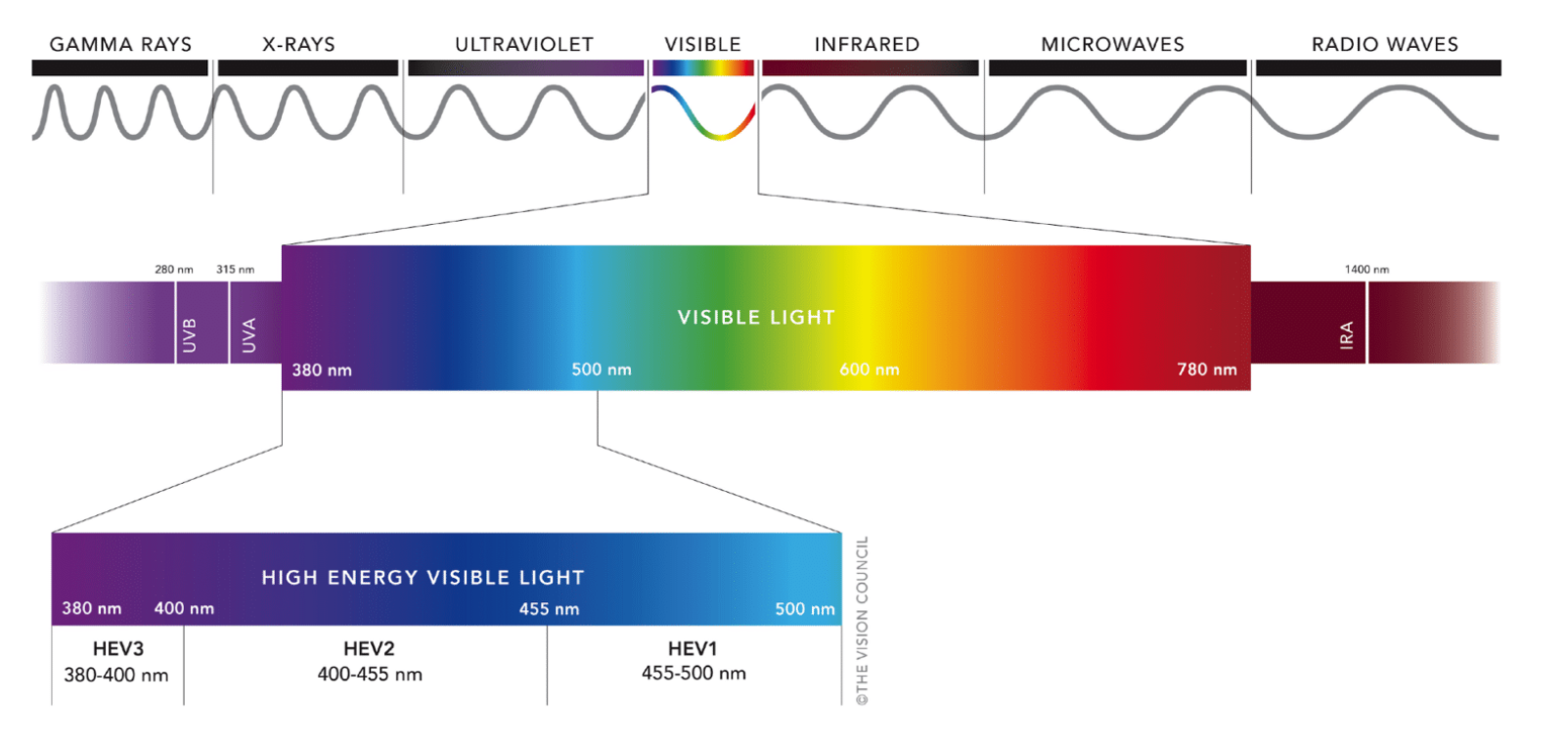 HEV_Light_The_Vision_Council.PNG