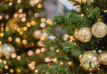Festival of Trees near Oak n' Spruce Resort in South Lee, Massachusetts.