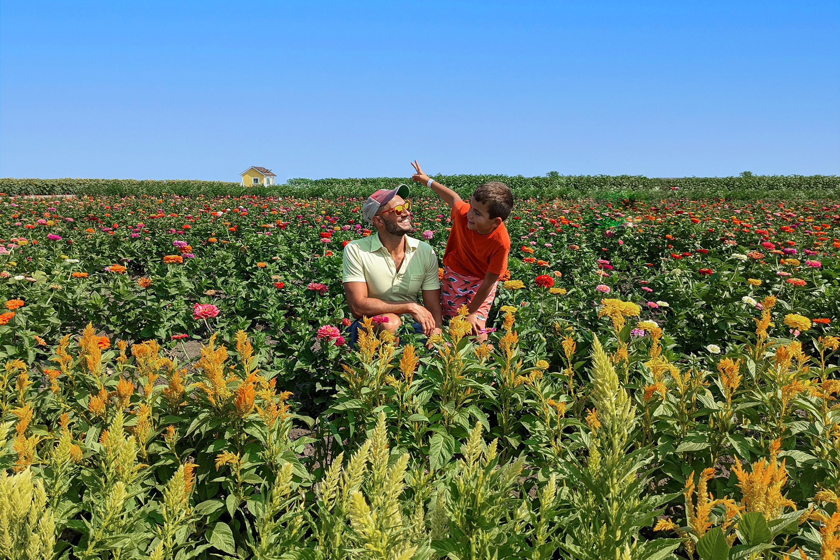 A young boy and man sit in the middle of a wildflower field.