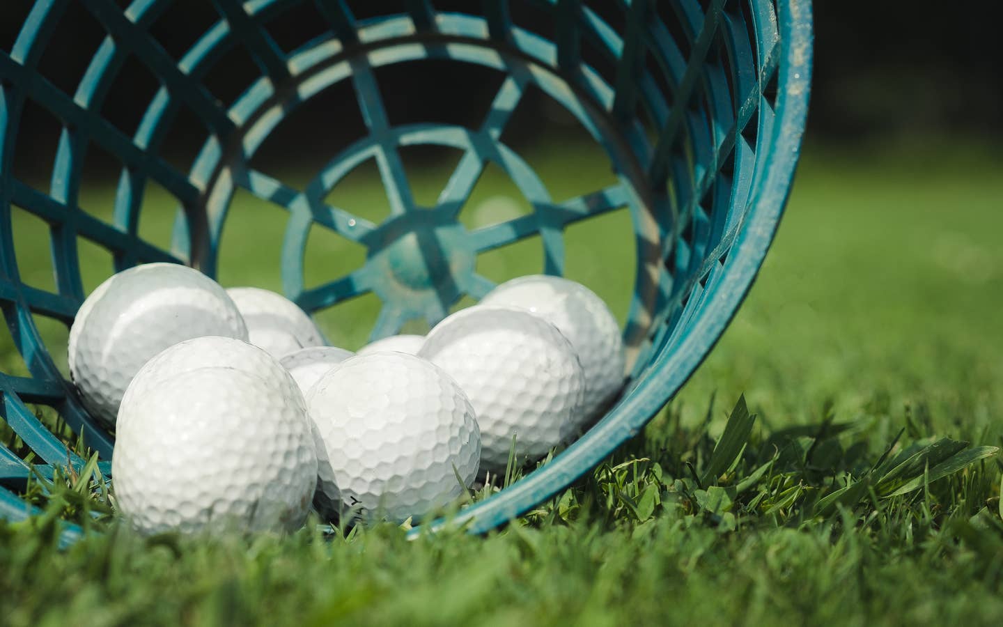 Golf balls in a basket.
