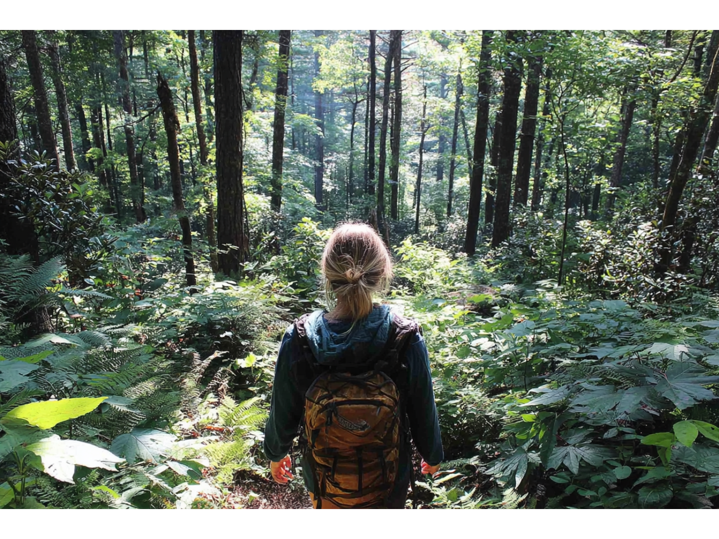 Woman hiking through dense green forest with backpack, surrounded by tall trees.