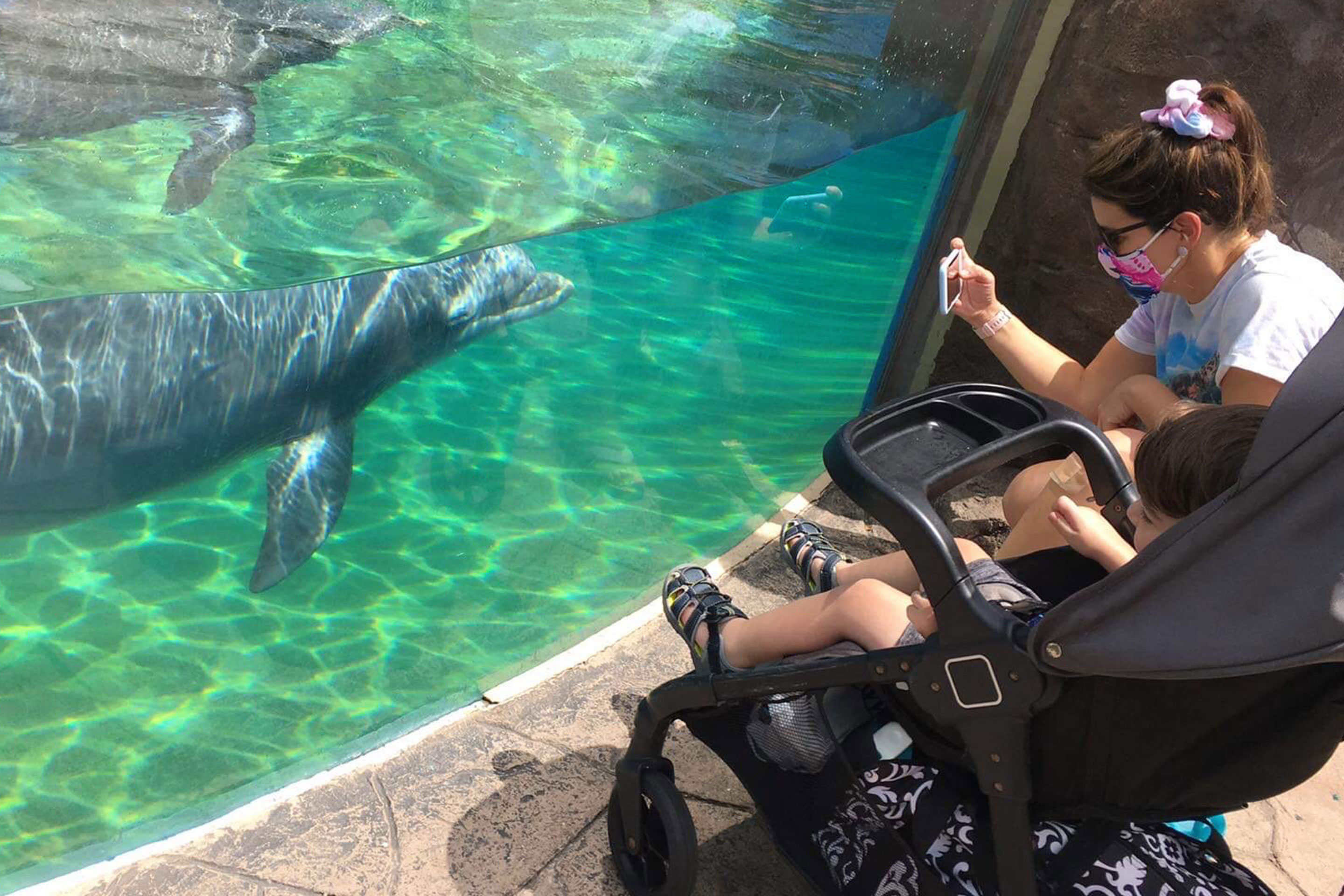 Jennifer and Dakota are observing the dolphins in their aquarium.