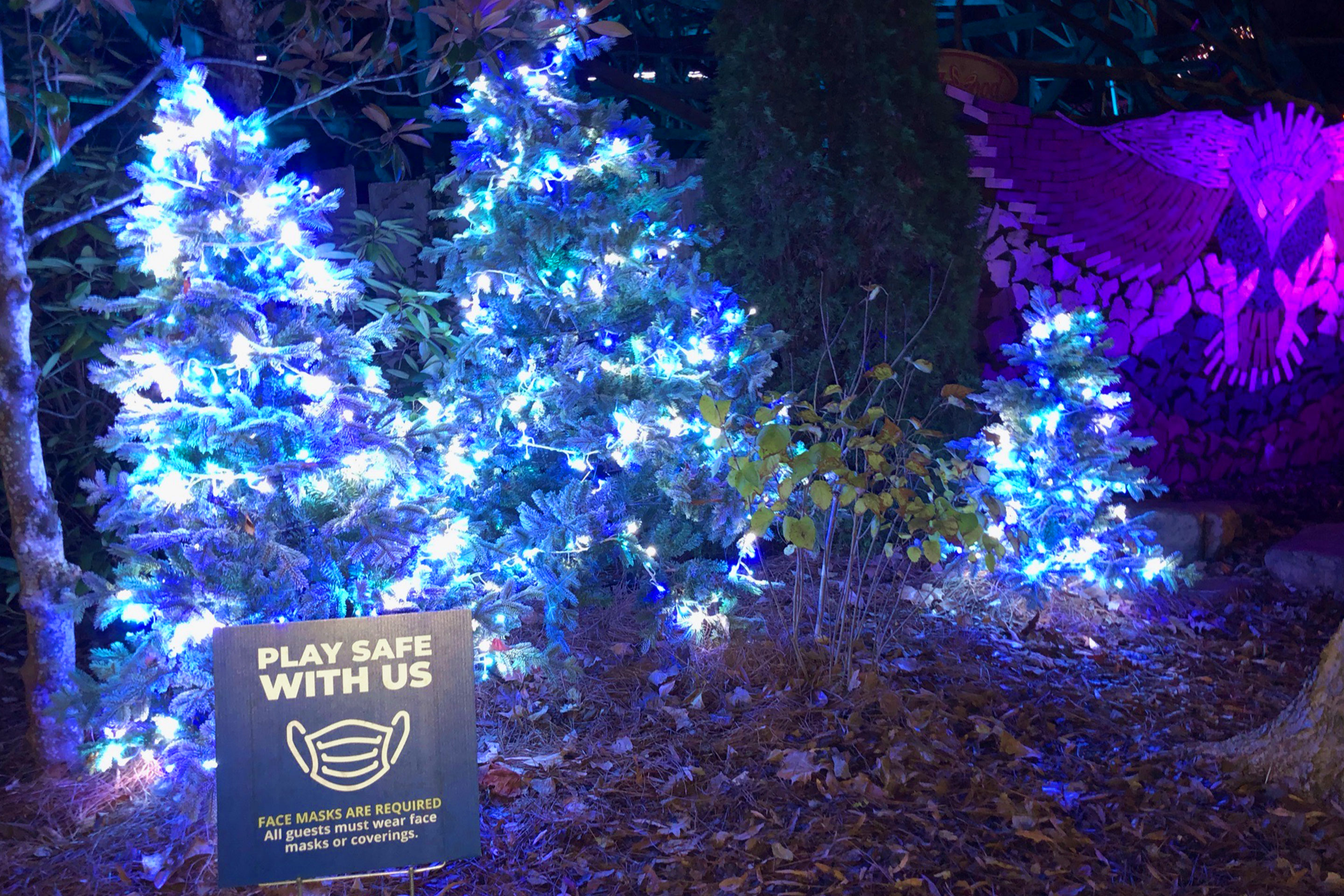LED Christmas lights on pine trees at 'Dollywood' next to a safety sign that reads, 'Play Safe with Us.'