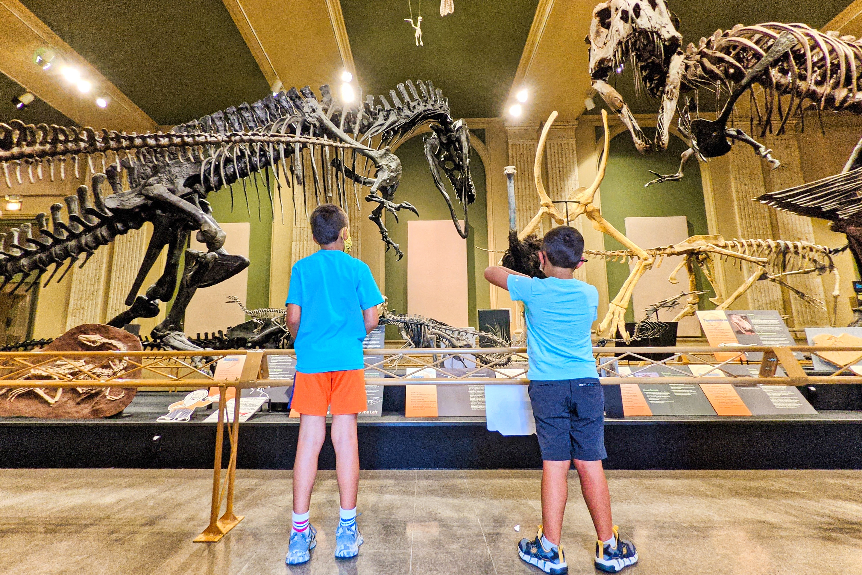 Two young boys look at dinosaur fossil displays.