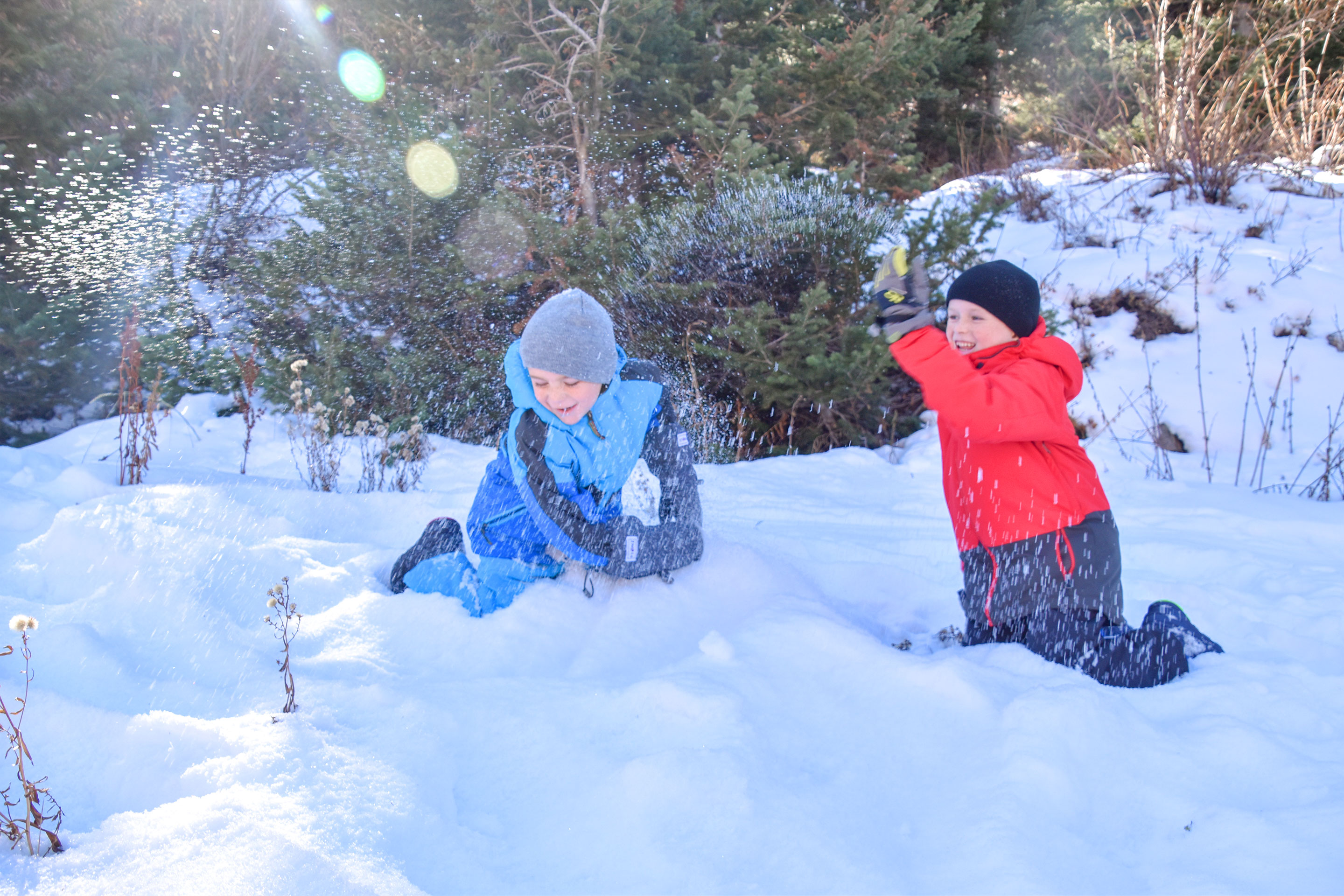 Two young boys in winter apparel and beanies play with snow outdoors surrounded by various trees.