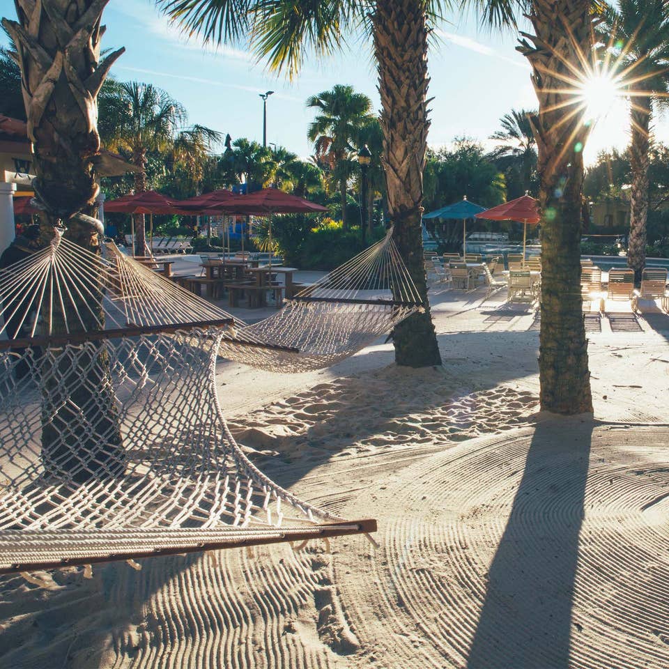 Hammocks hanging from palm trees above sand near outdoor pool at Orange Lake Resort near Orlando, Florida.
