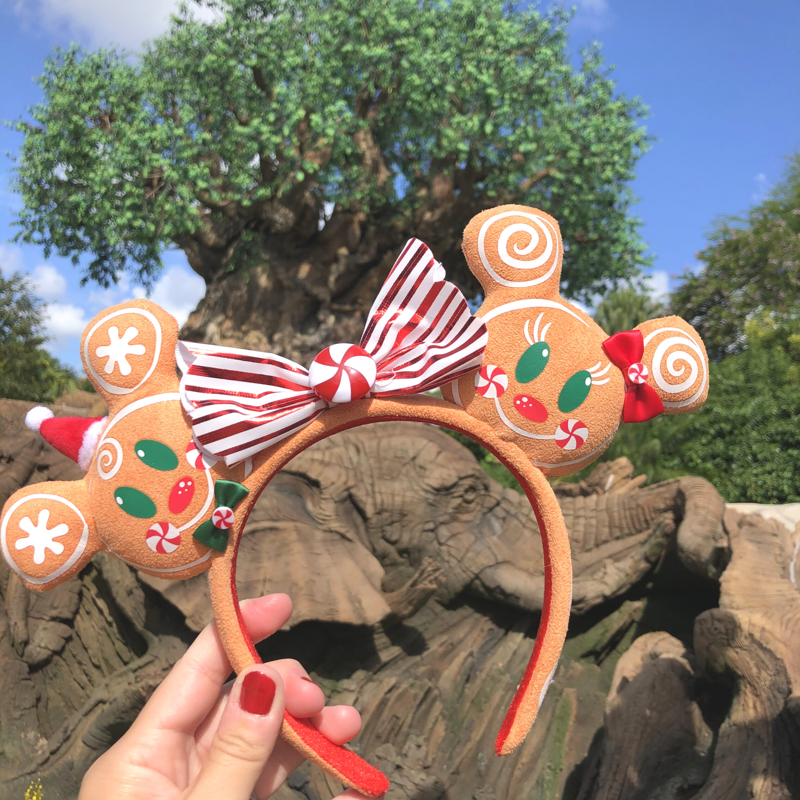 Author, Kelly Nelson, holds a pair of gingerbread Mickey and Minnie Mouse Ears with a large red and white striped bow centered with a peppermint candy in front of the Tree of Life at Disney's Animal Kingdom Theme Park at Walt Disney World® Resort.