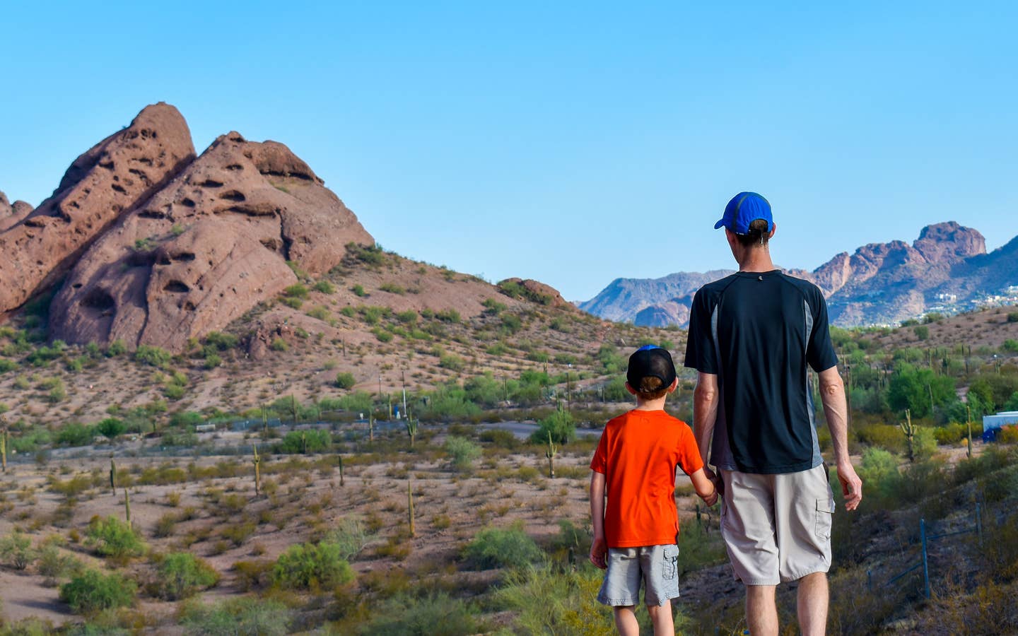 Jessica Averett's husband (right) and son (right) stand looking out at the McDowell Sonoran Preserve in Scottsdale, Arizona.