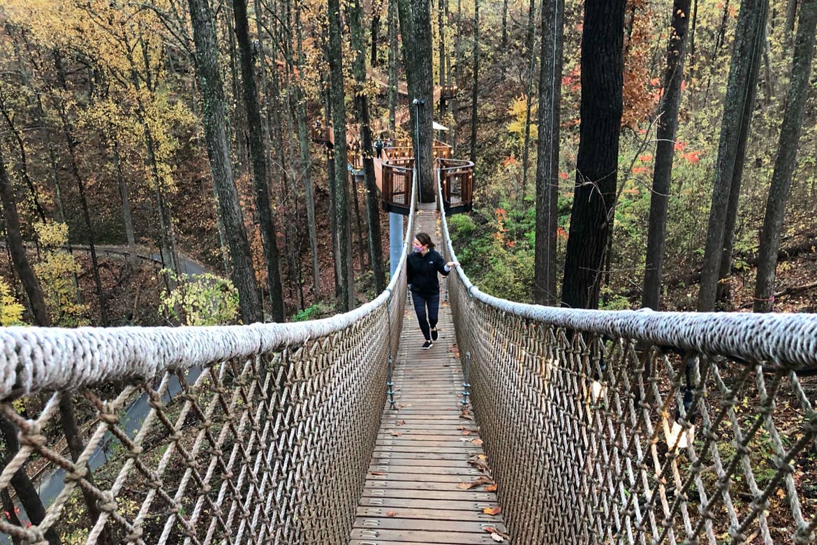Featured Contributor, Jennifer C. Harmon, walks a suspended rope bridge amongst the trees.