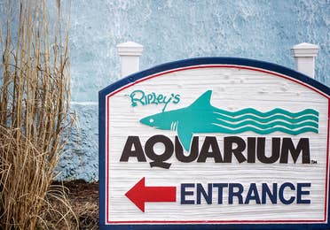 Ripley's sign pointing to the entrance of the aquarium
