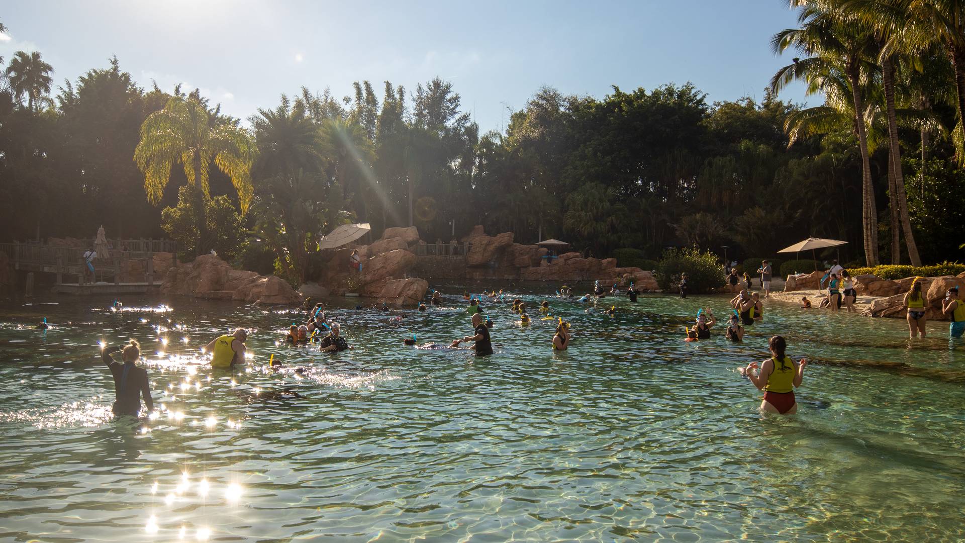 Discovery Cove Top 5 Things Our Family Loved Holidayinnclub discovery-cove-top-5-things-our-family-loved-holidayinnclub