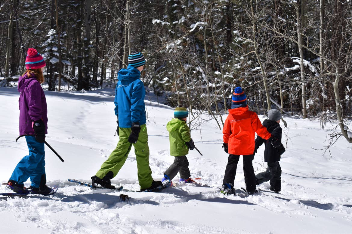 Five children wearing winter apparel and snowshoes walk on a snowy trail near trees.