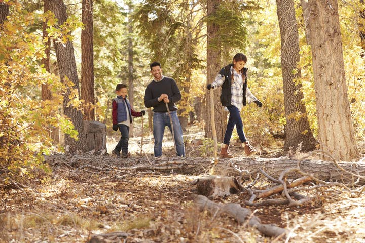 Father and children hiking in the woods near the Holiday Hills Resort in Branson Missouri.