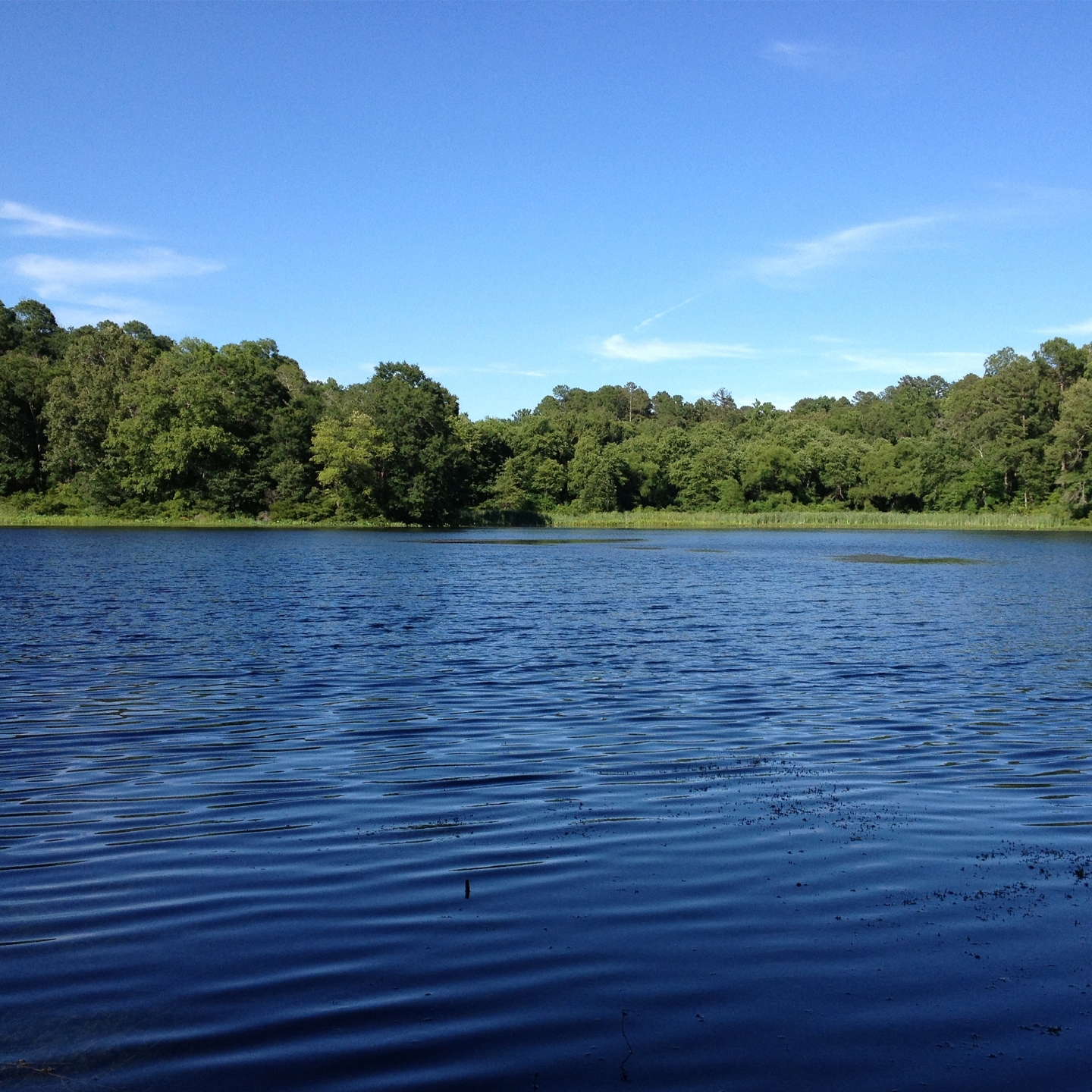 Local Attractions at Lake O' the Woods Resort at Lake Palestine