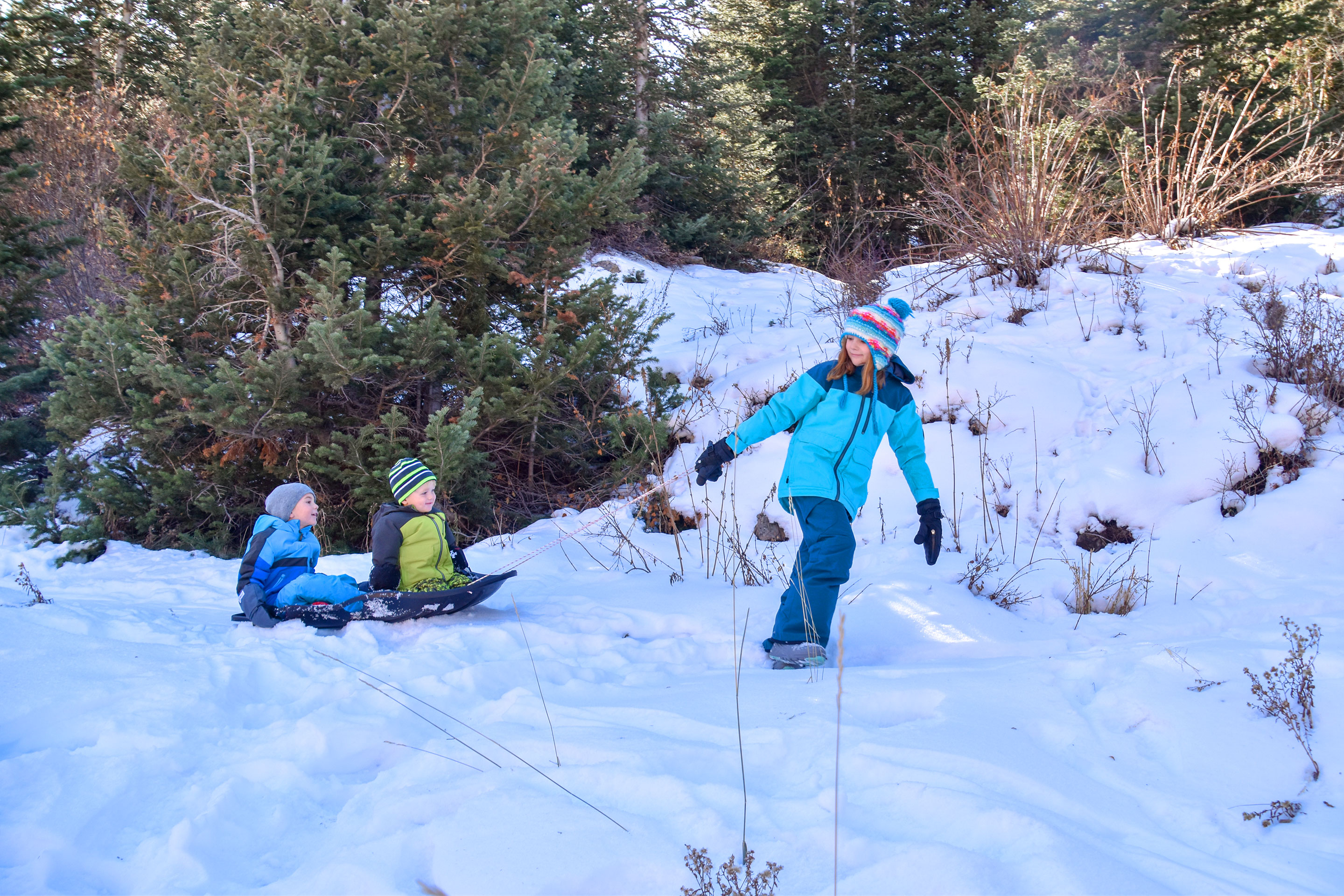 A young girl in blue winter apparel pulls two young boys in blue and green winter apparel on a blue sled over some snowy trails.
