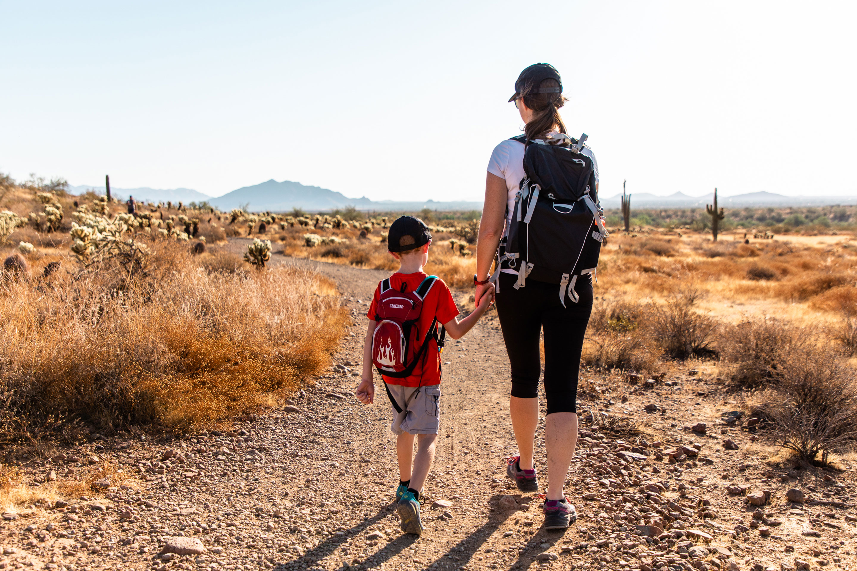 Author Jessica Averett (right) holds her sons hand (left) as they walk through the McDowell Sonoran Preserve.