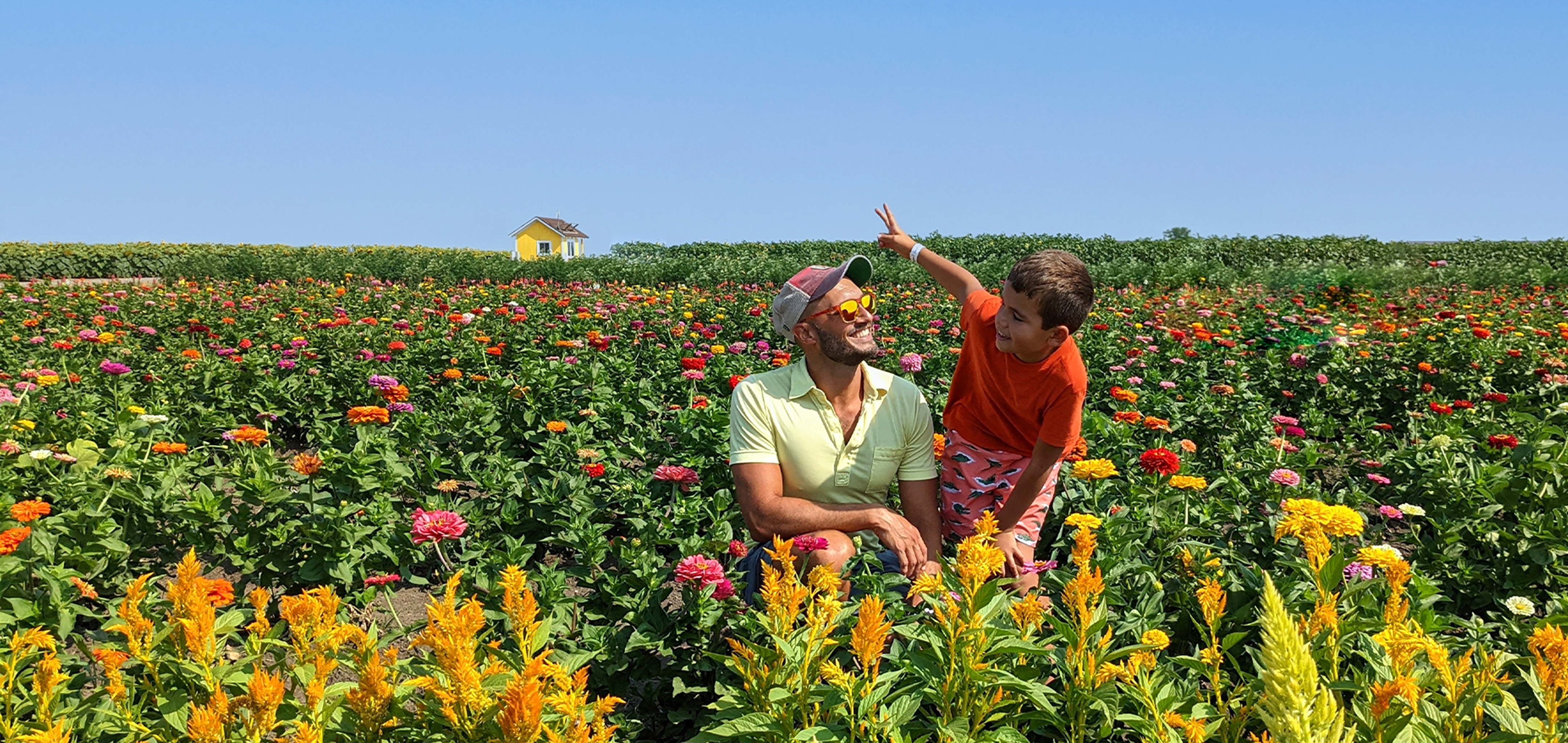 A young boy and man sit in the middle of a wildflower field.
