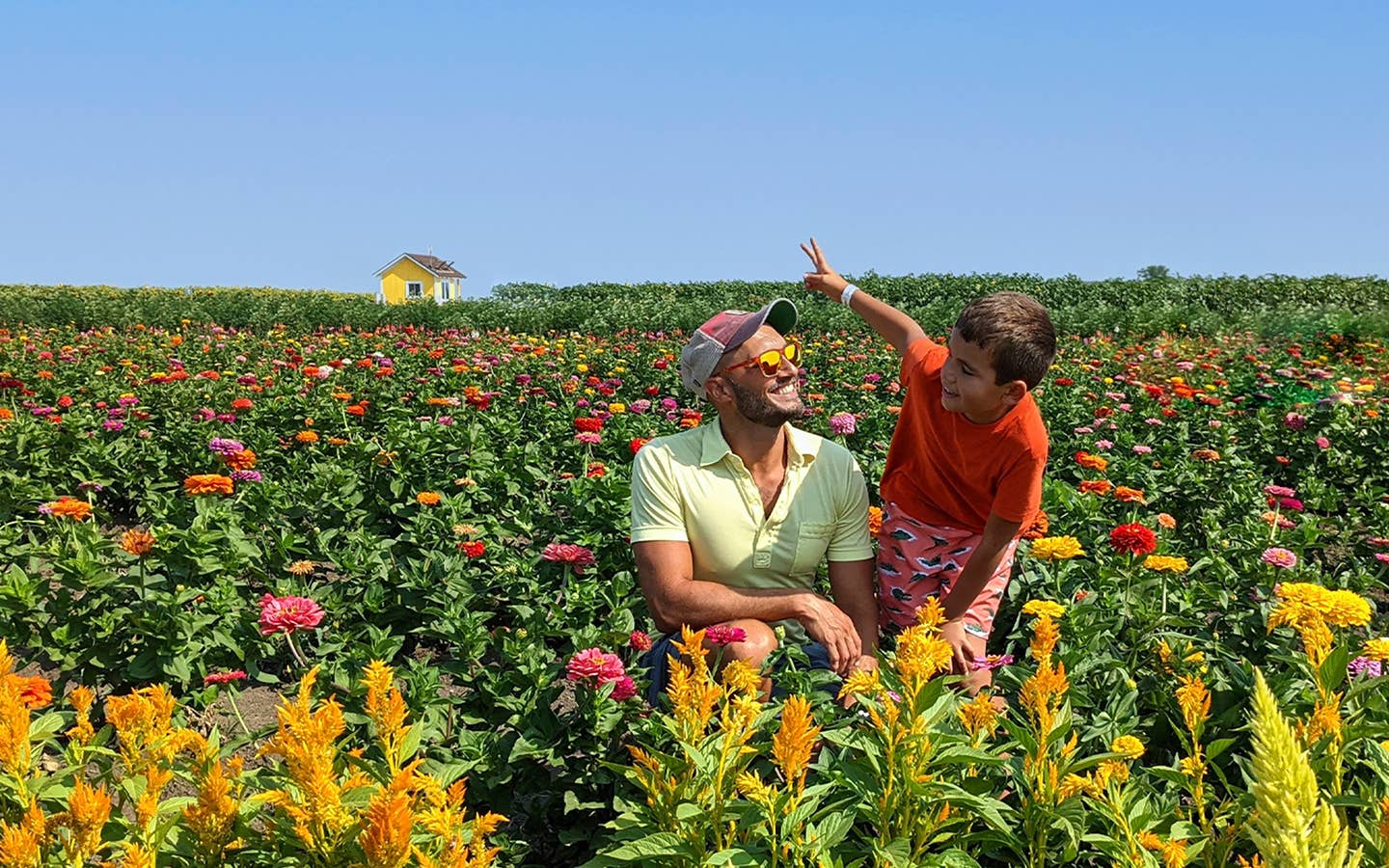 A young boy and man sit in the middle of a wildflower field.