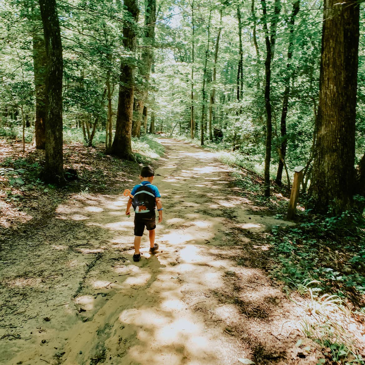 Angelica's son hiking through a wooded nature trail with his backpack on.